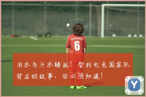 泪水与汗水铸就！智利电竞国家队背后的故事，你必须知道！