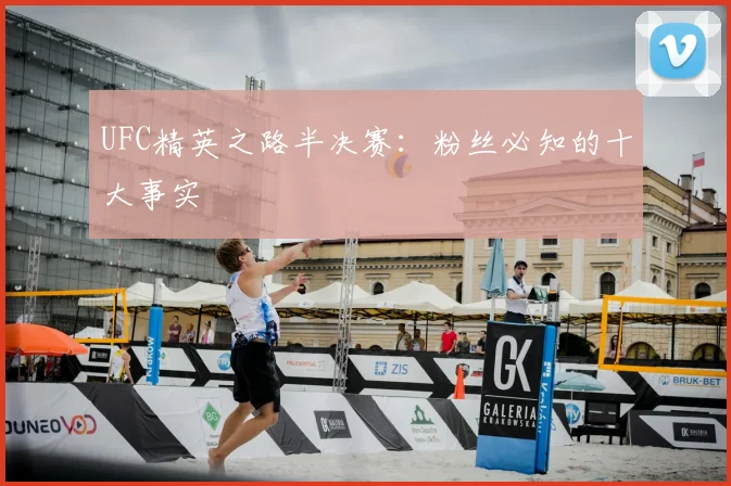 UFC精英之路半决赛：粉丝必知的十大事实