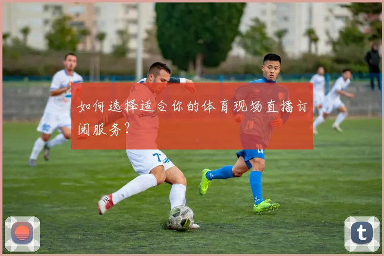 如何选择适合你的体育现场直播订阅服务？