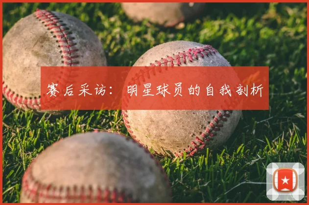 赛后采访：明星球员的自我剖析