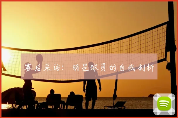 赛后采访：明星球员的自我剖析