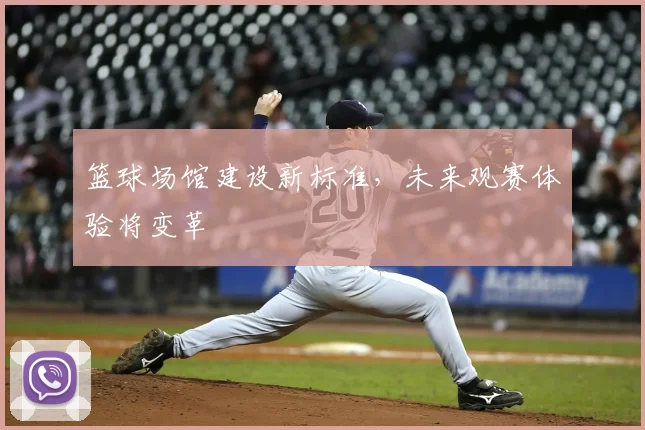 篮球场馆建设新标准，未来观赛体验将变革