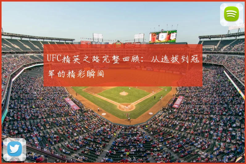 UFC精英之路完整回顾：从选拔到冠军的精彩瞬间