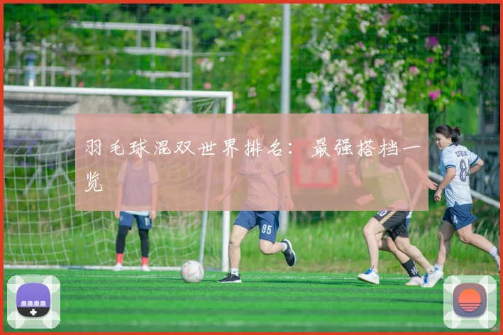 羽毛球混双世界排名：最强搭档一览