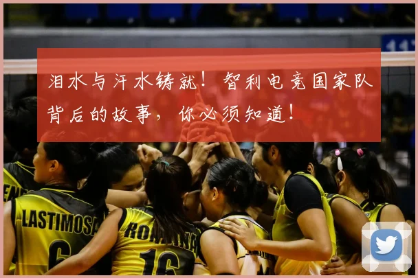 泪水与汗水铸就！智利电竞国家队背后的故事，你必须知道！
